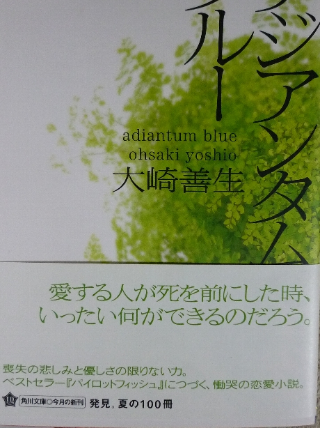 アジアンタムブルー　大崎善生(著)